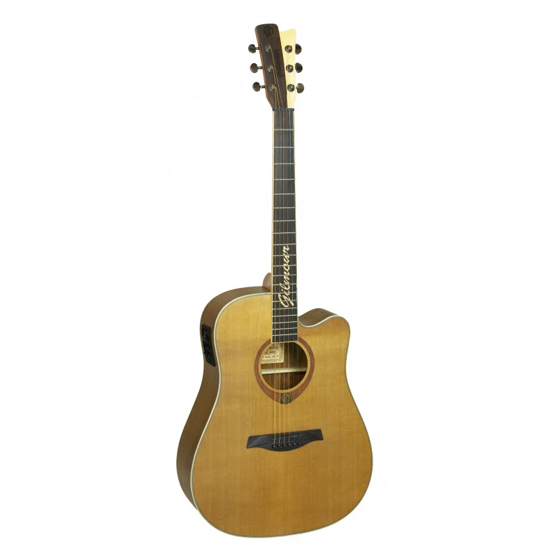 Elektroakustická kytara Gilmour Woody