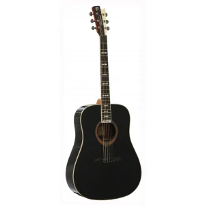 Akustická kytara Gilmour Vintage Black