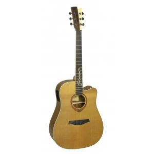 Elektroakustická kytara Gilmour Woody