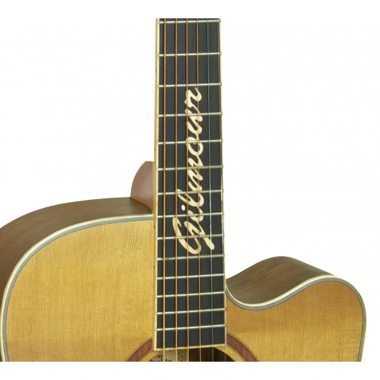 Elektroakustická kytara Gilmour Woody