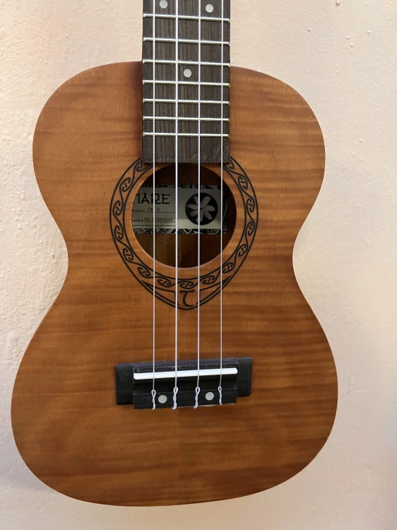 Ukulele koncertní