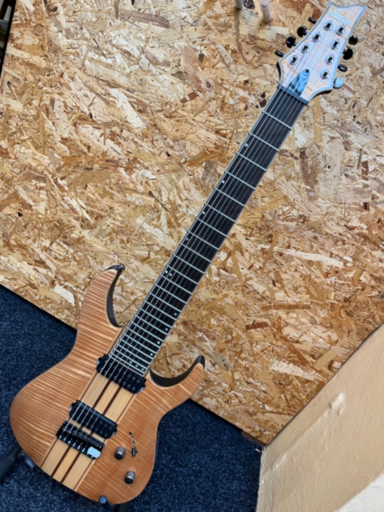 SCHECTER Banshee Elite-8 GNAT