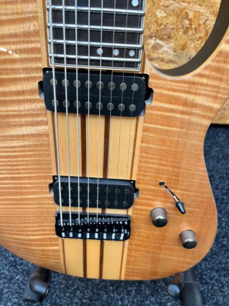 SCHECTER Banshee Elite-8 GNAT